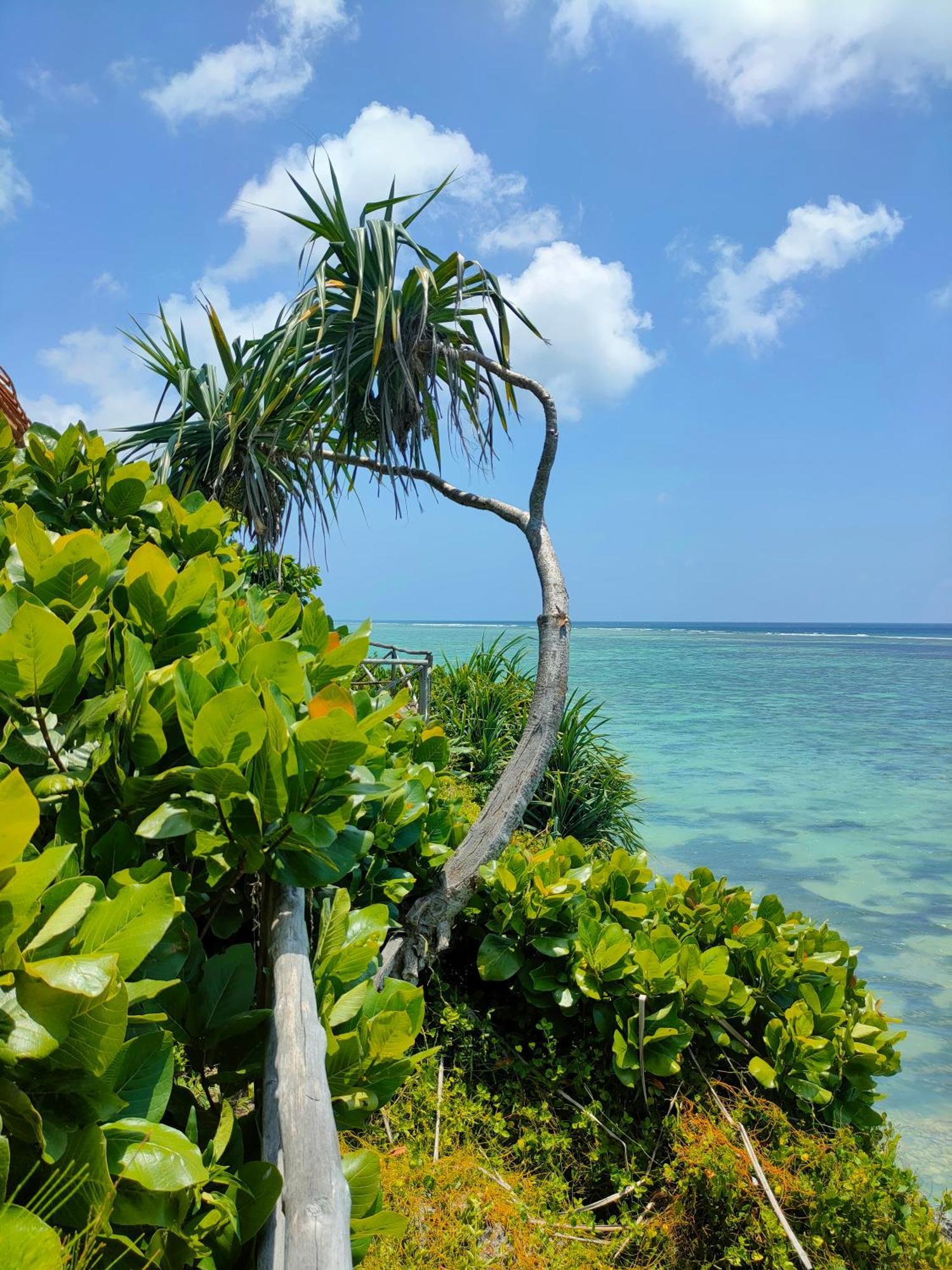 Eden Rock Zanzibar Hotel Mtende Exterior photo
